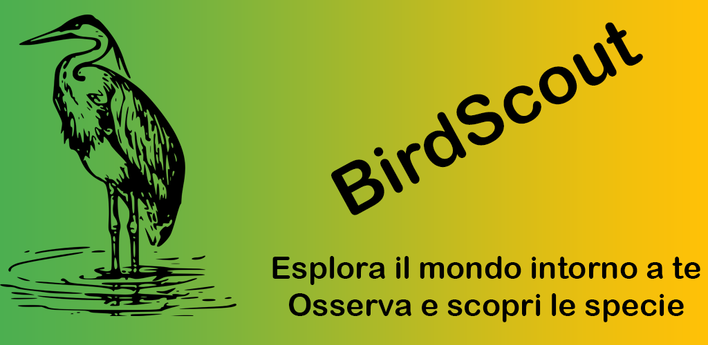 BirdScout